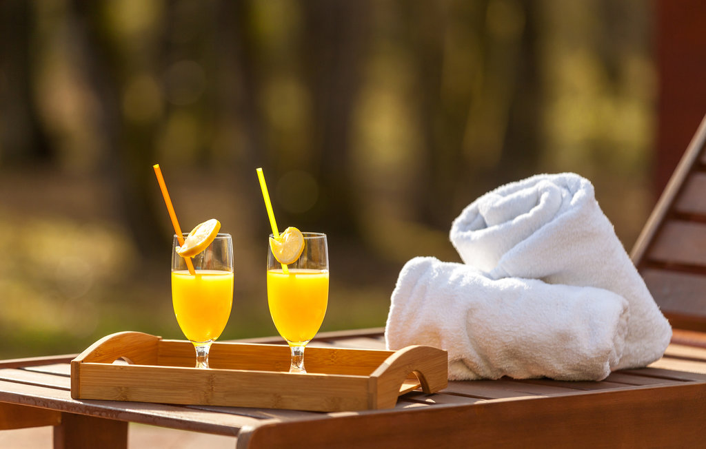 Ferienhaus - Pozega-Brestovac , Kroatien - CCS020 9