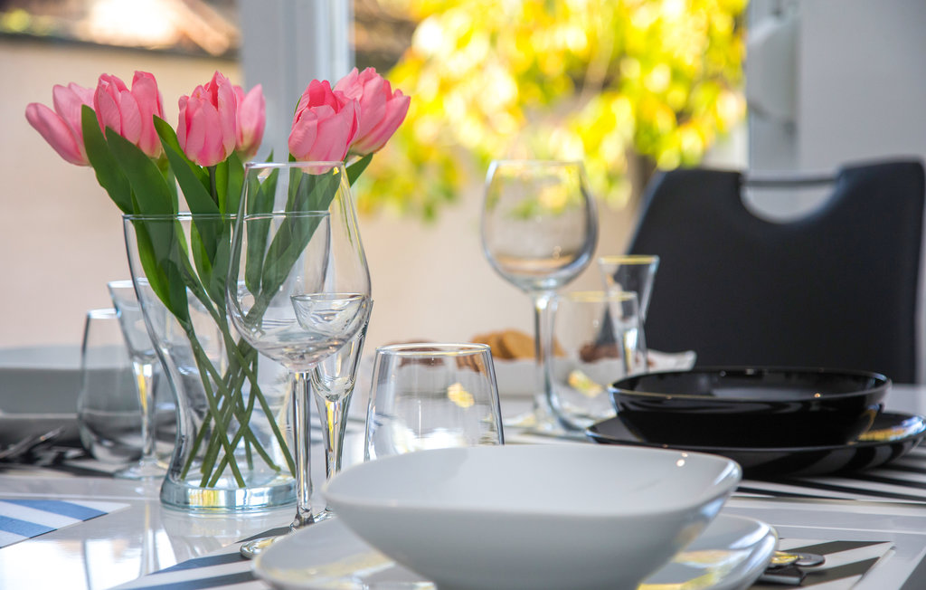 Ferienhaus - Slavon. Brod-Donji Andrijevci , Kroatien - CCS059 16