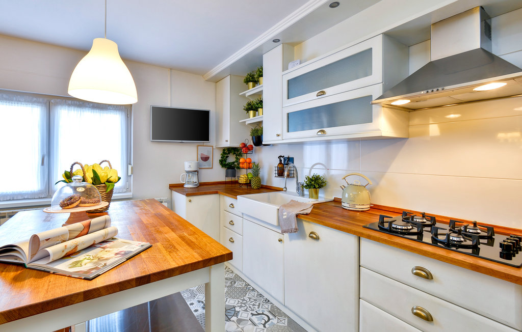 Feriehuse - Bjelovar-Gornje Plavnice , Kroatien - CCS071 30