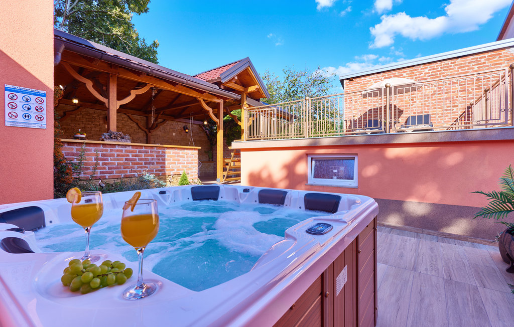 Ferienhaus - Daruvar , Kroatien - CCS076 2