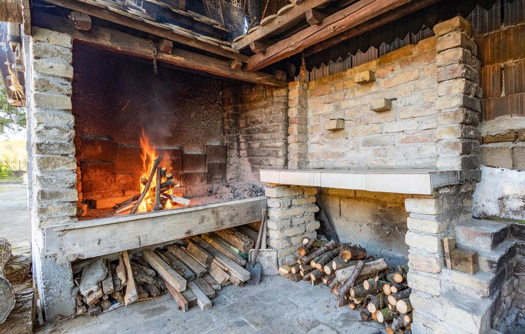 Ferienhaus - Osijek - Dalj , Kroatien - CCS110 15