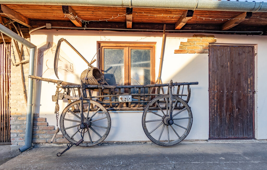 Ferienhaus - Osijek - Dalj , Kroatien - CCS110 16