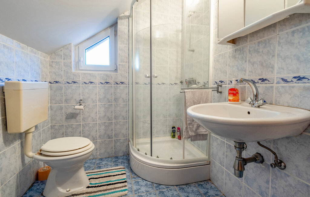 Ferienhaus - Osijek - Dalj , Kroatien - CCS110 17