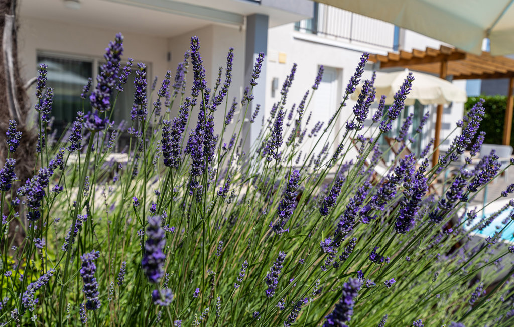 Ferienhaus - Zadar-Debeljak , Kroatien - CDA727 39