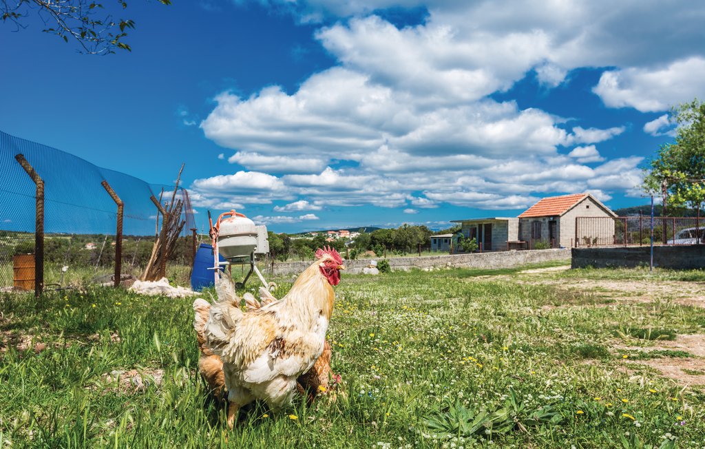 Ferienhaus - Biograd-Donje Rastane , Kroatien - CDA140 19