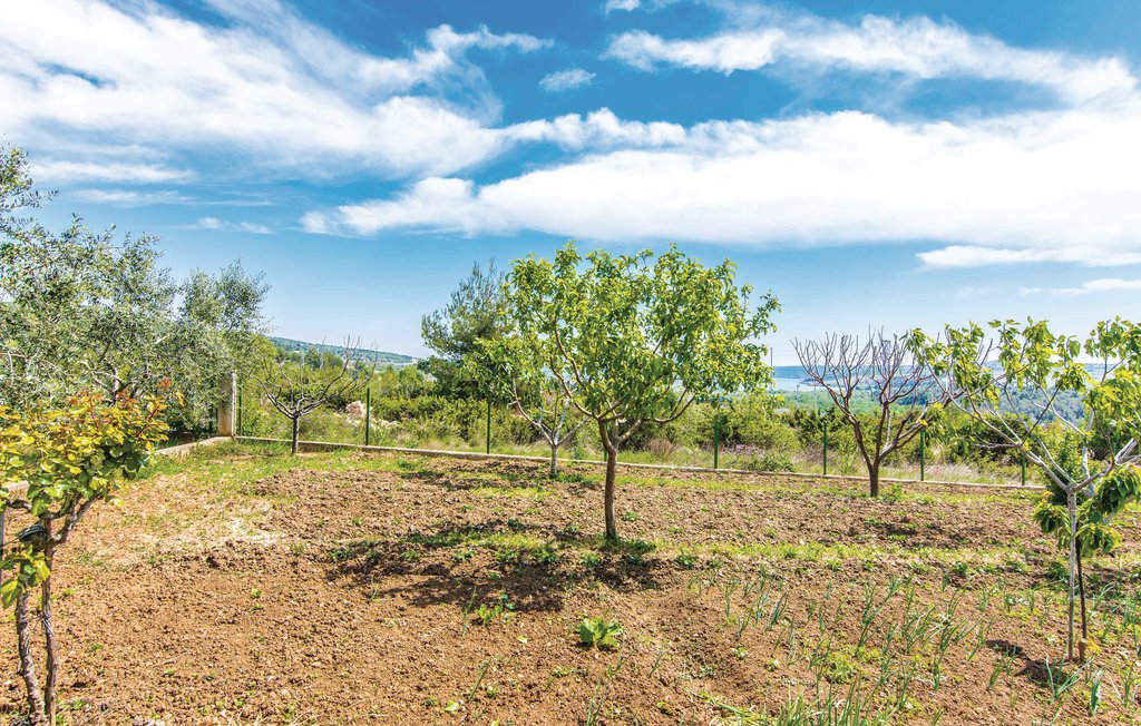 Semesterlägenhet - Zadar-Slivnica , Kroatien - CDA267 8