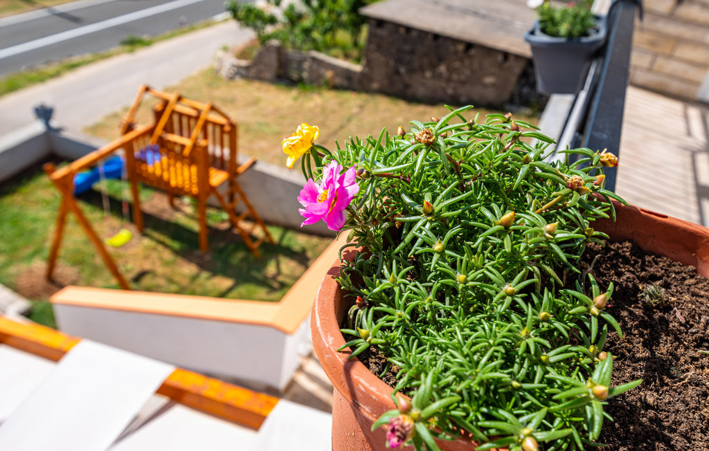 Ferienhaus - Starigrad Paklenica-Rovanjska , Kroatien - CDA126 20