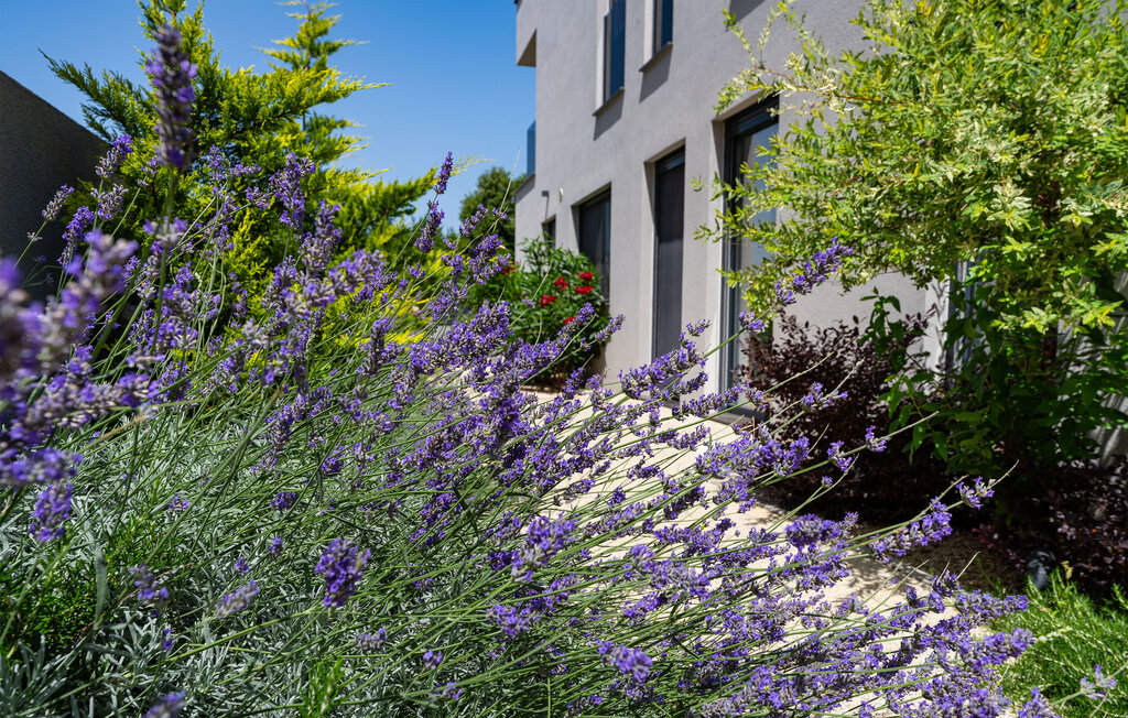 Feriehuse - Zadar-Zaton , Kroatien - CDA968 17