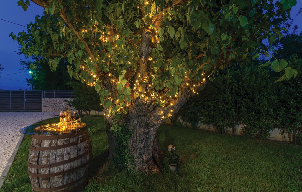 Semesterhus - Zadar-Donji Zemunik , Kroatien - CDA315 37