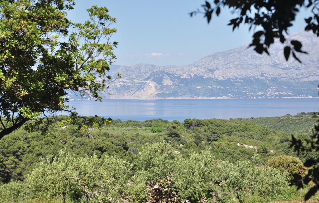 Feriehuse - Brac-Pucisca , Kroatien - CDB376 5