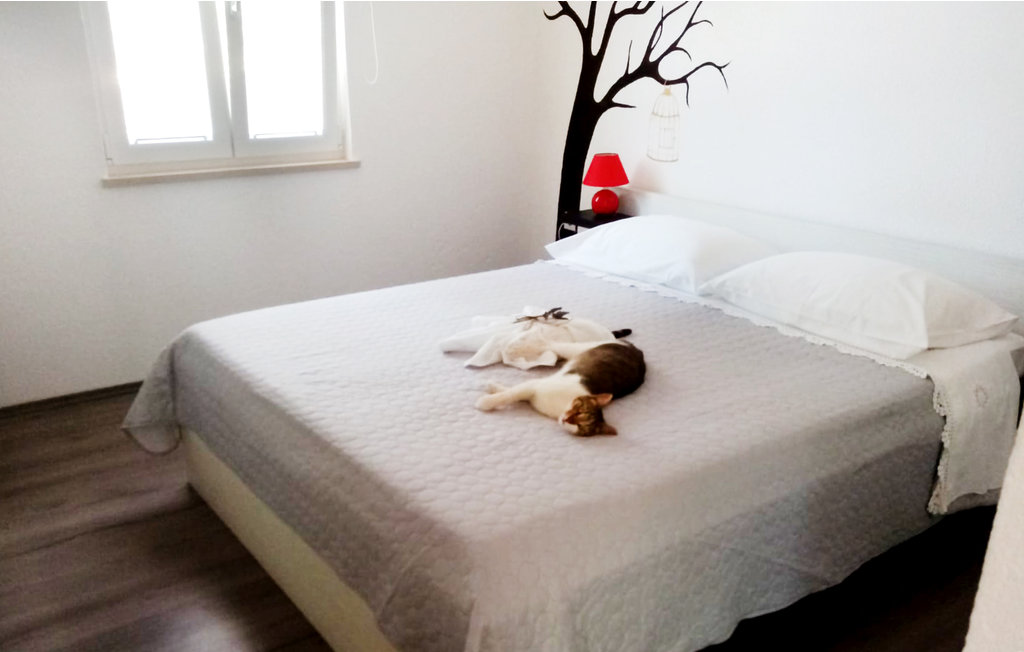 Ferienhaus - Brac-Supetar , Kroatien - CDB699 22