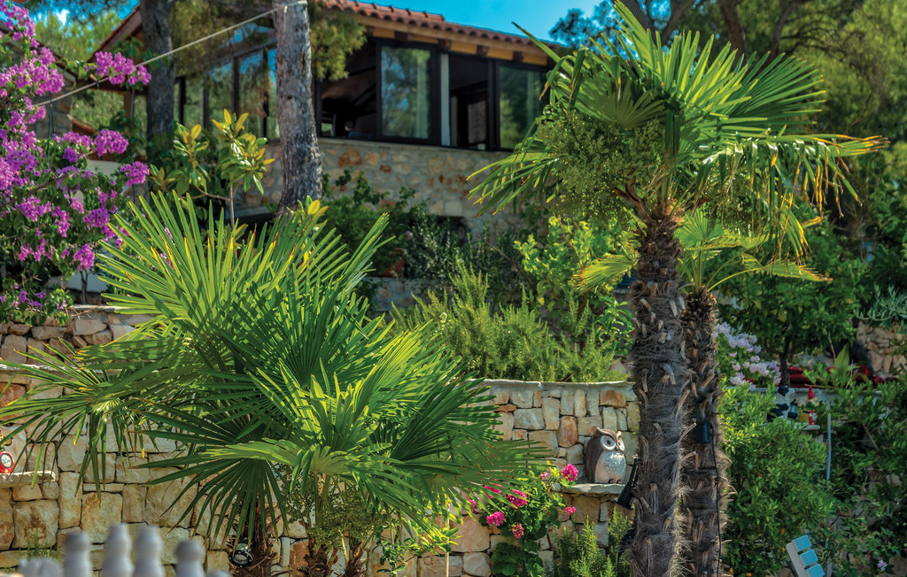 Ferienhaus - Brac-Milna , Kroatien - CDB662 21