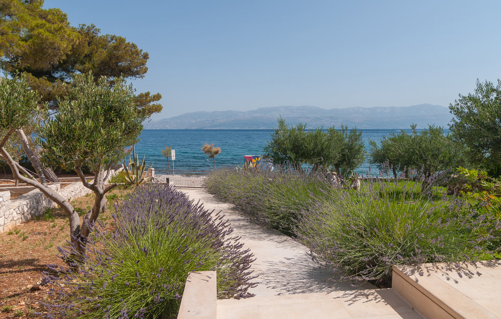 Feriehus - Brac-Sutivan , Kroatia - CDB675 7