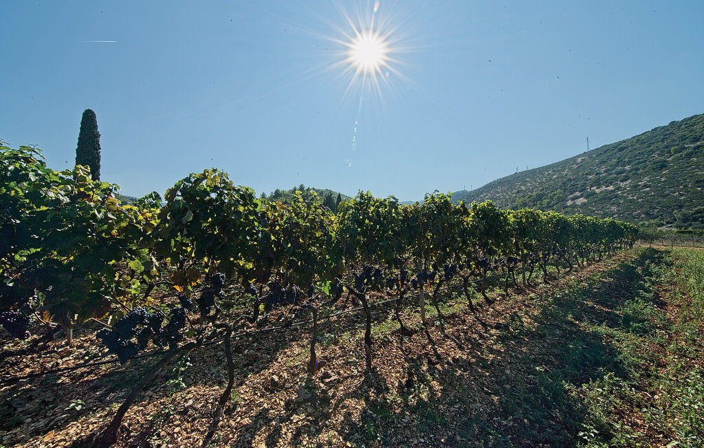 Ferienhaus - Brac-Postira , Kroatien - CDB629 10