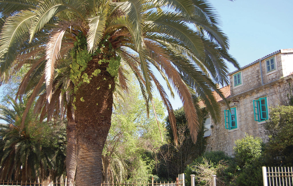 Feriehuse - Brac-Milna , Kroatien - CDB516 4