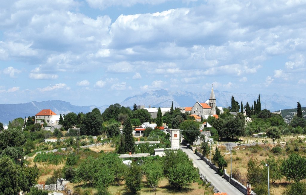 Feriehuse - Brac-Skrip , Kroatien - CDB504 34