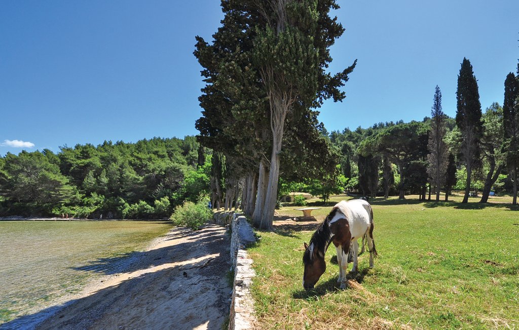 Feriehuse - Brac-Novo Selo , Kroatien - CDB696 22