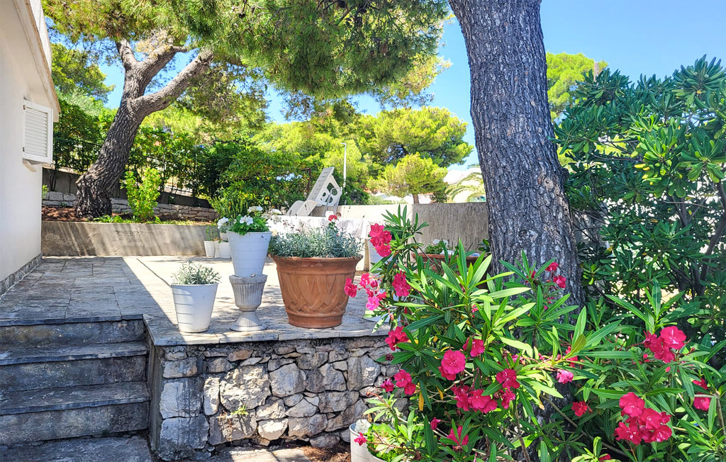 Semesterhus - Otok Brac - Splitska - Supetar , Kroatien - CDB768 10