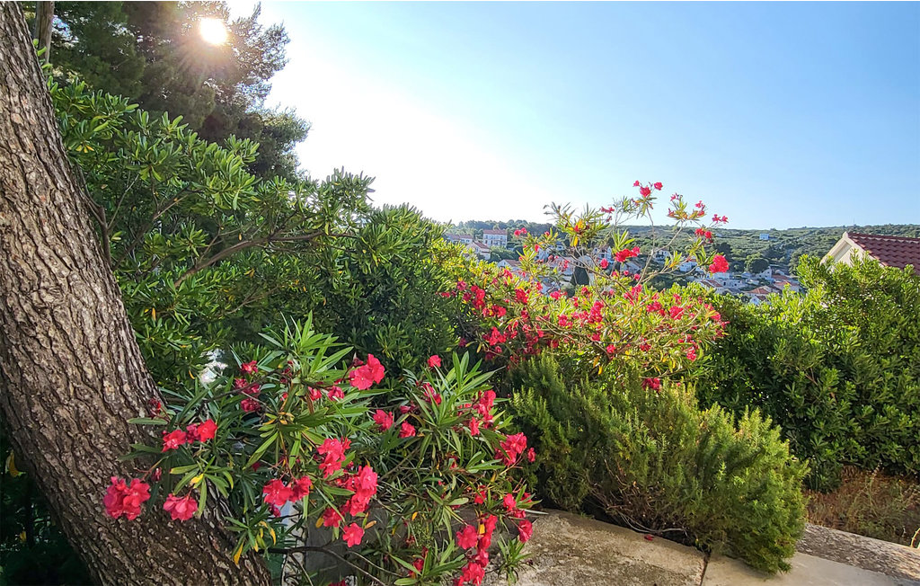 Semesterhus - Otok Brac - Splitska - Supetar , Kroatien - CDB768 15