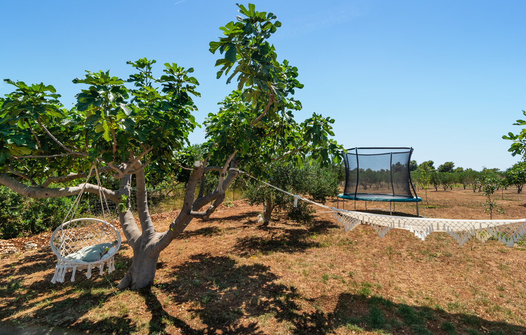 Feriehus - Brac - Sutivan , Kroatia - CDB790 19