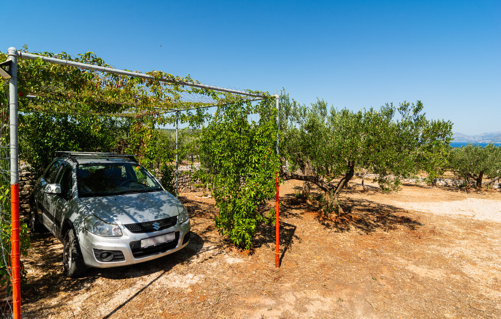 Feriehus - Brac-Povlja , Kroatia - CDB625 16