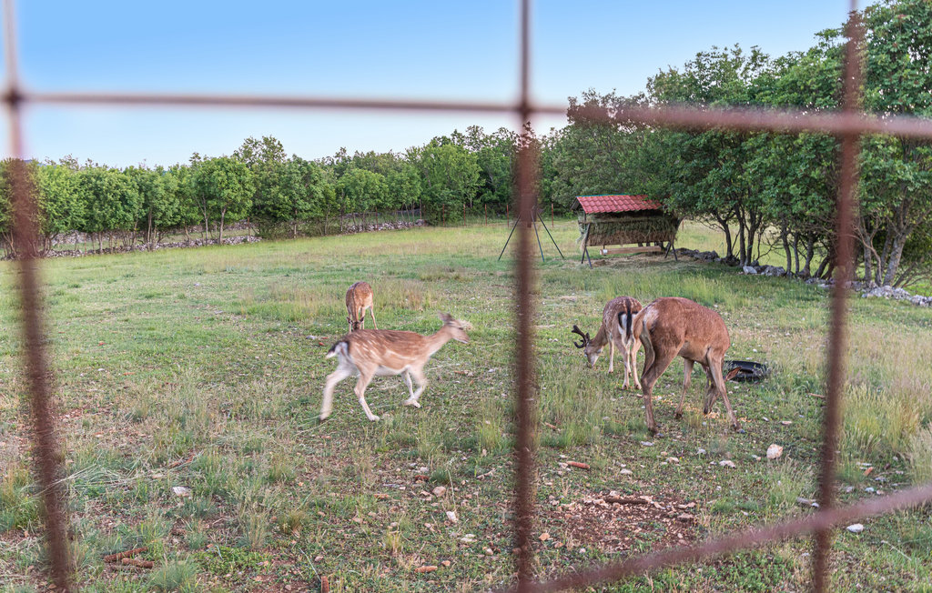 Ferienhaus - Split-Trilj , Kroatien - CDC346 27