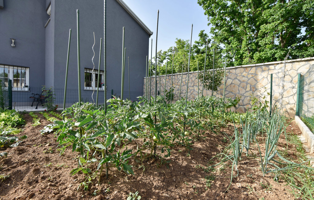 Semesterhus - Split-Turjaci , Kroatien - CDC183 19