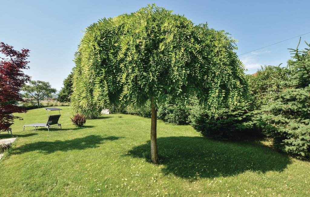 Feriehuse - Split-Sinj , Kroatien - CDC259 17