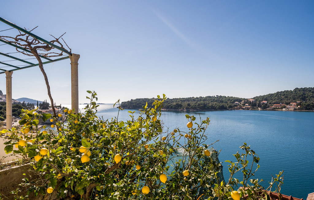 Ferienwohnung - Dubrovnik-Zaton Veliki , Kroatien - CDD524 14