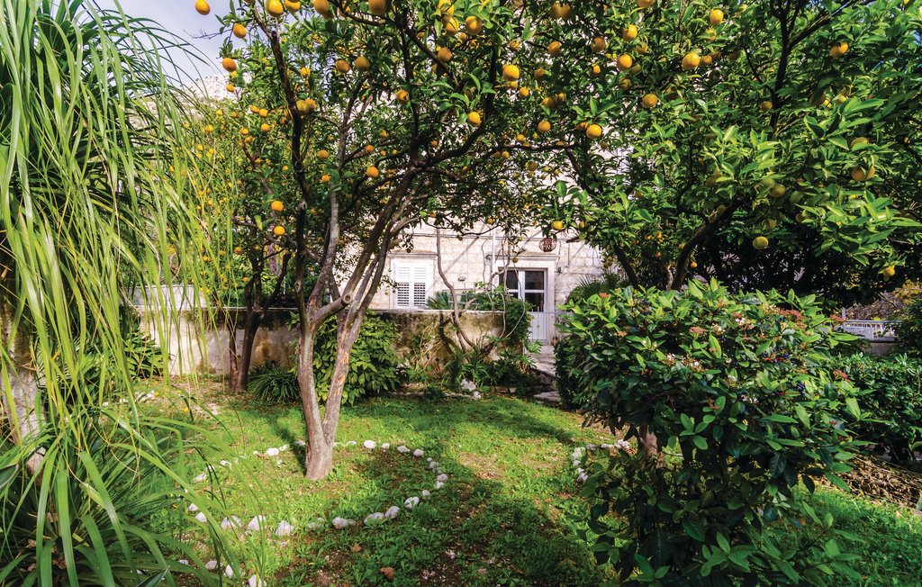 Feriehuse - Dubrovnik-Trsteno , Kroatien - CDD321 17