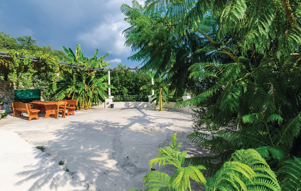 Feriehuse - Dubrovnik-Lovorno , Kroatien - CDD686 21