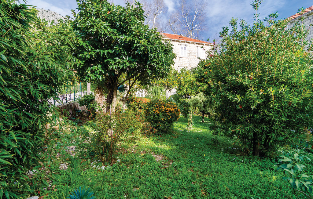 Feriehuse - Dubrovnik-Trsteno , Kroatien - CDD321 14