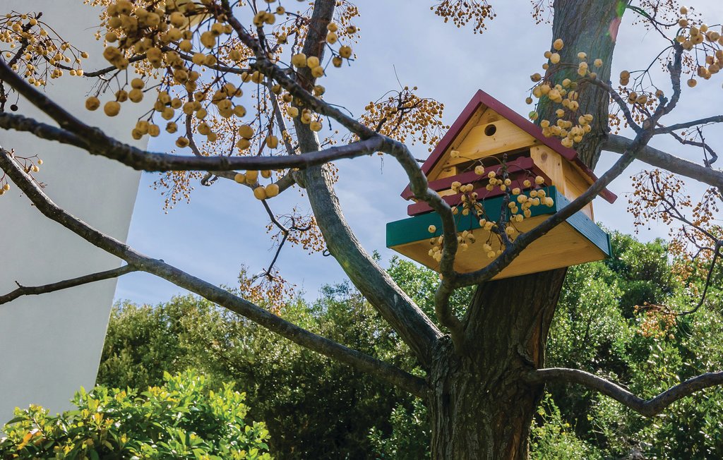 Ferienwohnung - Dubrovnik , Kroatien - CDD803 8