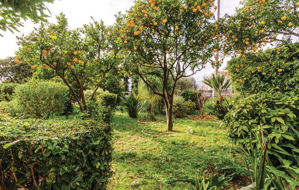 Feriehuse - Dubrovnik-Trsteno , Kroatien - CDD321 18