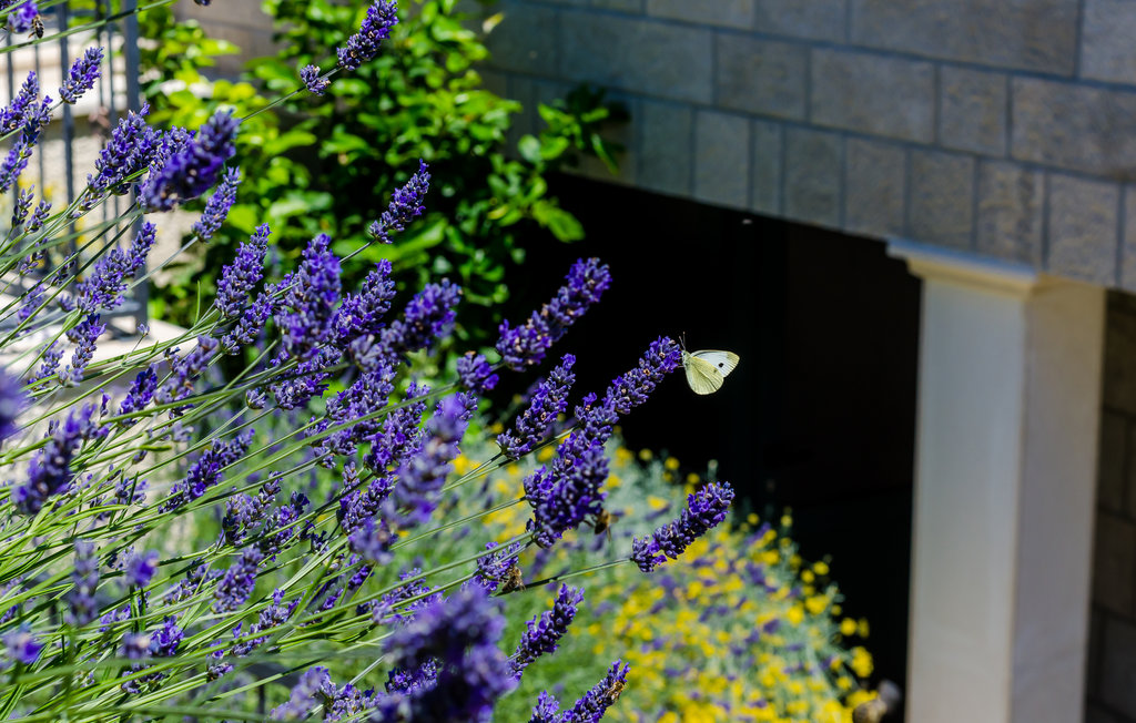 Ferienhaus - Dubrovnik-Gromaca , Kroatien - CDD651 15