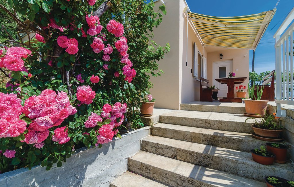 Ferienwohnung - Dubrovnik-Molunat , Kroatien - CDD661 7