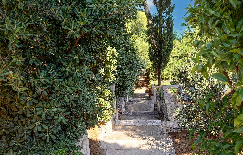 Ferienwohnung - Dubrovnik , Kroatien - CDD148 8