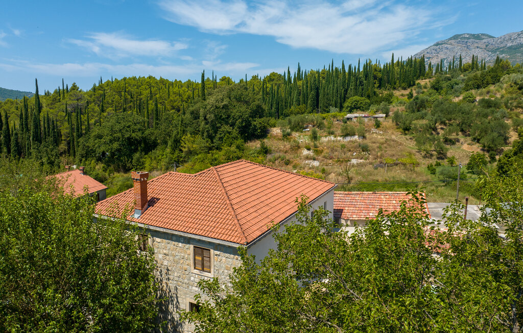 Feriehus - Dubrovnik , Kroatia - CDD890 11