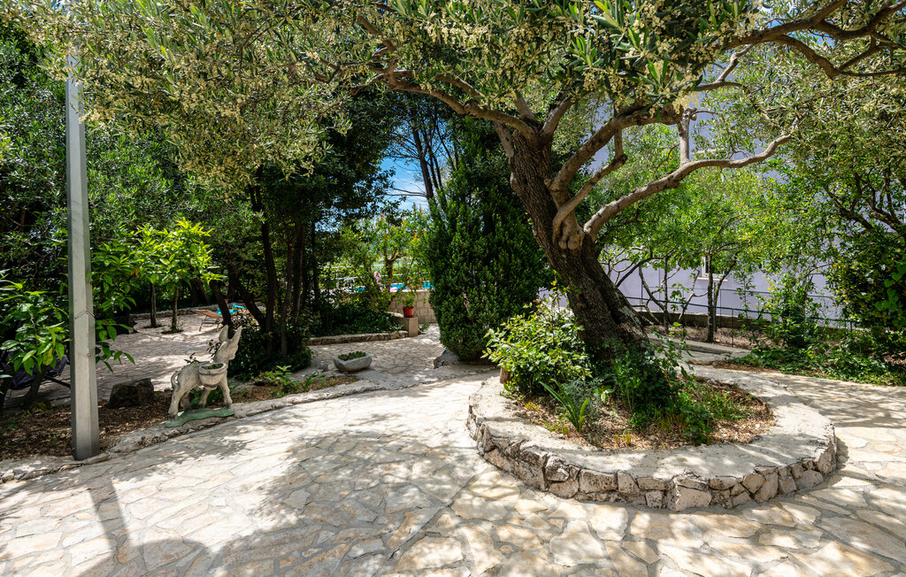 Feriehus - Dubrovnik-Lovorno , Kroatia - CDD310 19