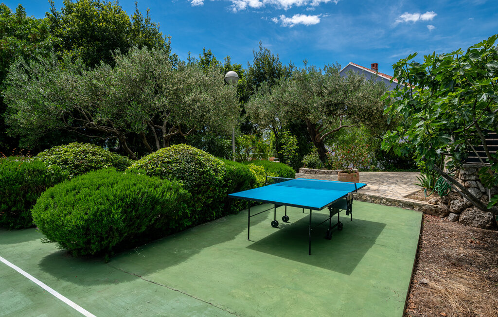 Feriehus - Dubrovnik-Lovorno , Kroatia - CDD310 8