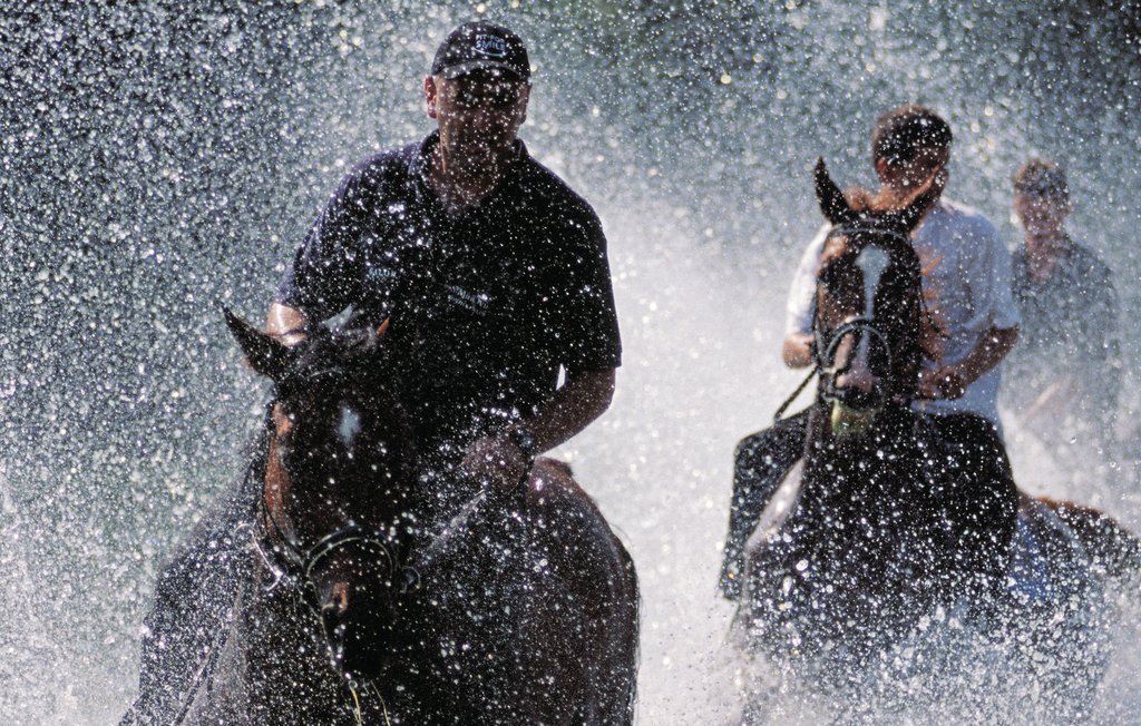 Feriehuse - Makarska-Grubine , Kroatien - CDE853 43