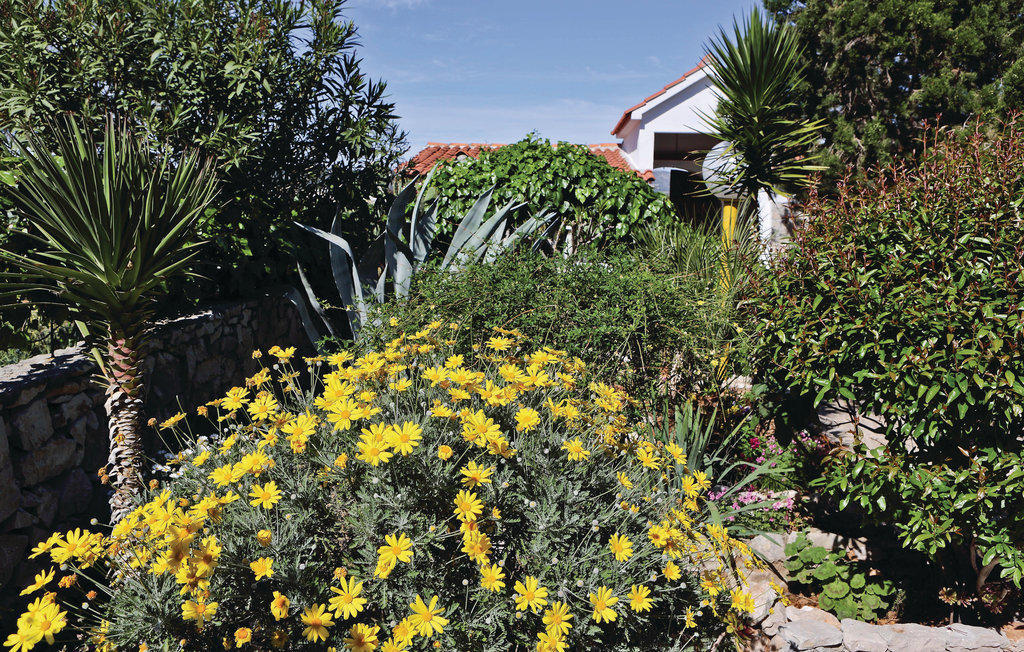 Ferienhaus - Drvenik Mali , Kroatien - CDE600 5