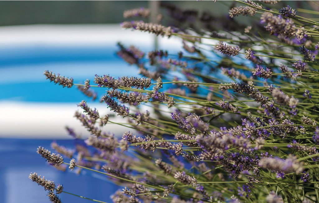 Feriehuse - Split-Podstrana , Kroatien - CDE663 7