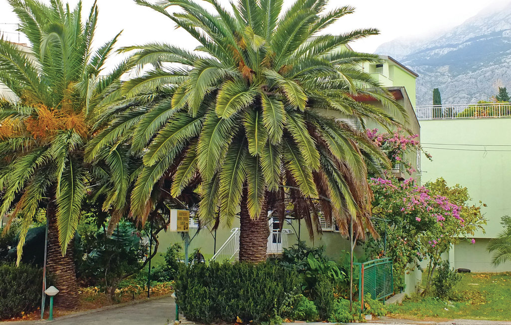 Lejlighed - Makarska , Kroatien - CDE830 4