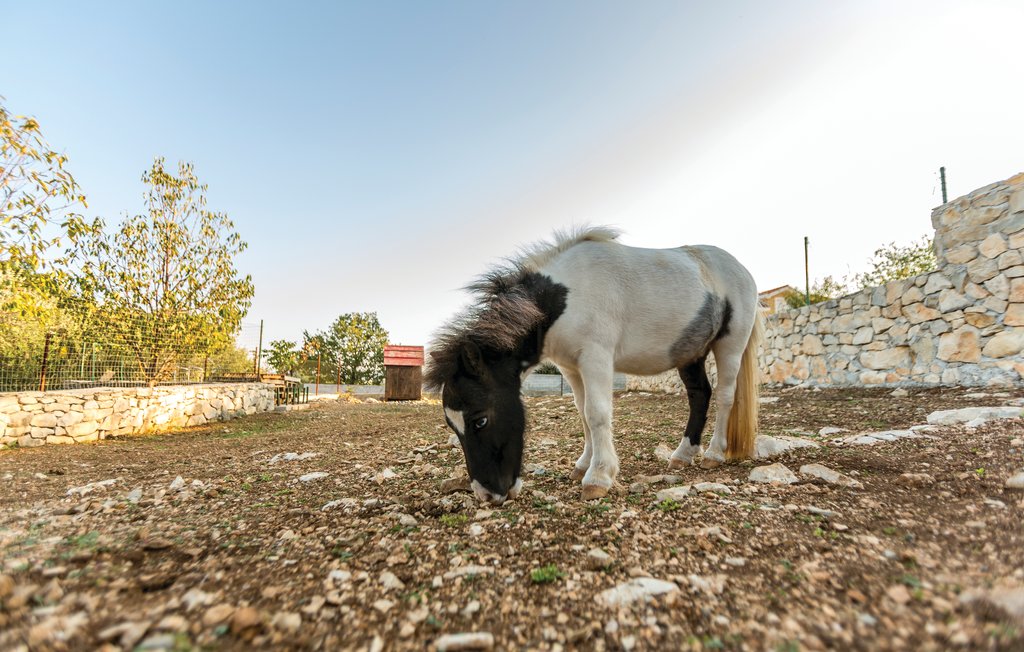 Ferienhaus - Trogir-Kastel Novi , Kroatien - CDF063 53
