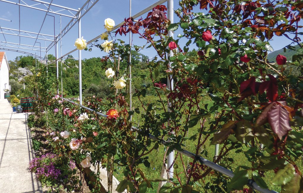 Feriehuse - Omis-Kucice , Kroatien - CDF299 28