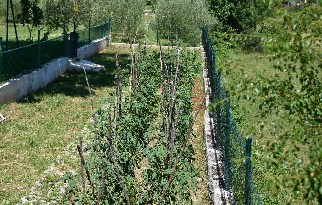 Ferienhaus - Split-Dicmo , Kroatien - CDF725 19