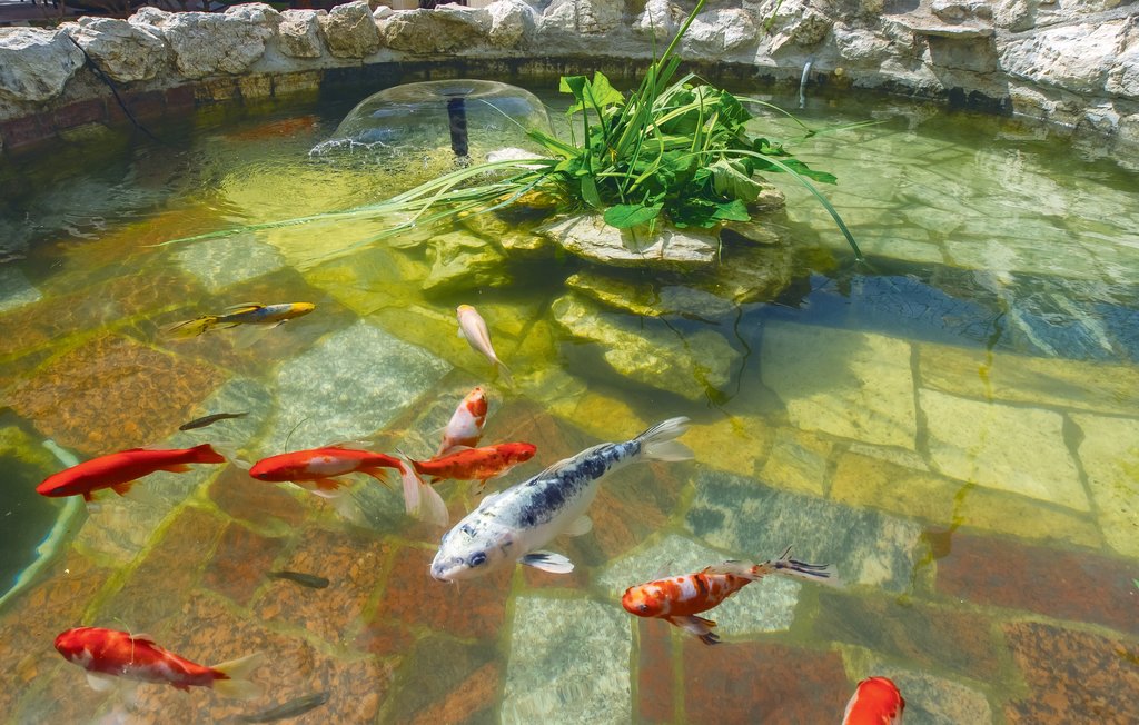 Lejlighed - Omis-Borak , Kroatien - CDF752 8