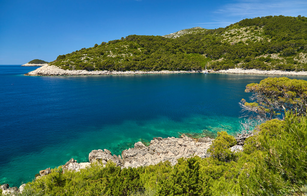 Lejlighed - Mljet , Kroatien - CDG203 12