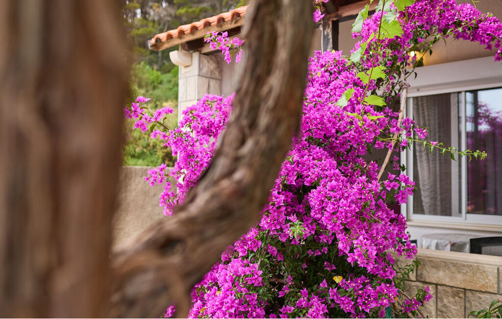 Lejlighed - Mljet-Saplunara , Kroatien - CDG201 13